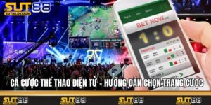 Cá Cược Thể Thao Điện Tử - Hướng Dẫn Chọn Trang Cược Uy Tín